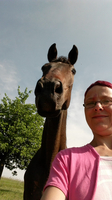 Offenstallhaltung