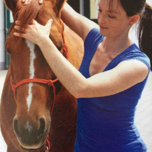 Pferde-Physio-Therapie