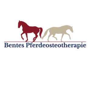 Bentes Pferdeosteotherapie