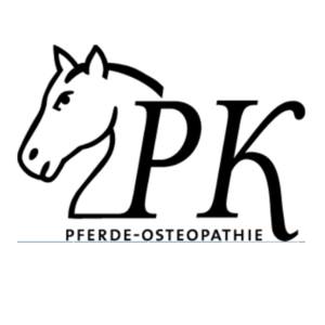 Pferdeosteo-Kock