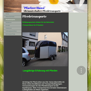Pferdetransport