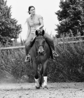 Motus Equi Physiotherapie für Sport- und Freizeitpferde
