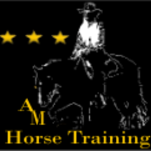 AM Horse Training
