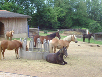 Buzzard Hills Ranch