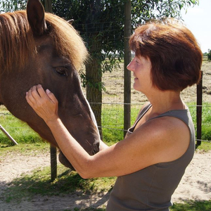 Osteopathische Therapie des Bewegungsapparates