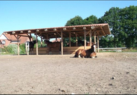 Soorbeckenhof