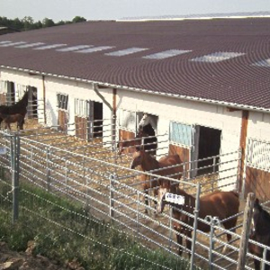 Reitanlage Stall Sieben
