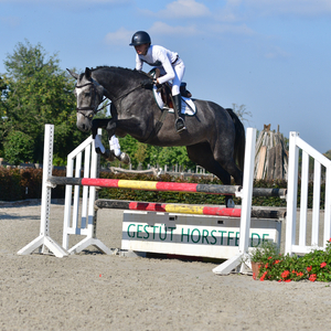 Gestüt Horstfelde