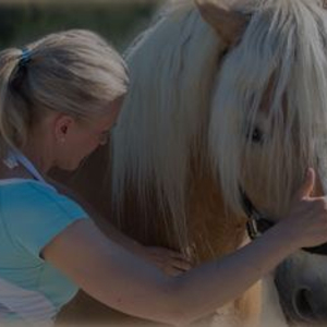 Vitalit Pferdephysiotherapie
