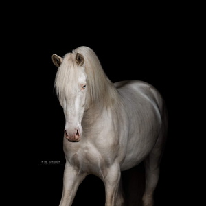 Kim Unger Photography
