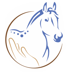Pferdephysiotherapie & Dry Needeling