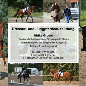 Dressur- und Jungpferdeausbildung Ulrike Grugel