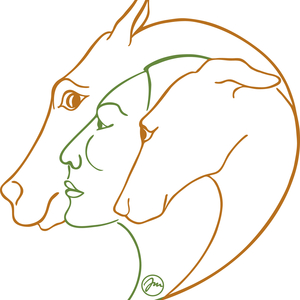 EquiCuratio