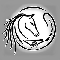 Steini's Hufbeschlag