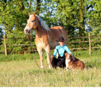 TW-Westerntraining