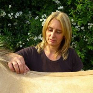 Horse in Harmony
