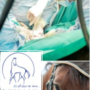 Tierklinik Lüsche GmbH