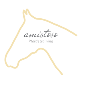 Pferdetraining Amistoso