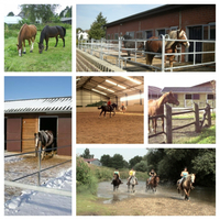 Western-und Freizeit-Reitanlage Niederbäumer