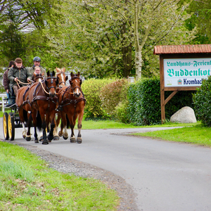 Ferienhof Buddenkotte