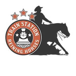 MSB GbR TRAIN STATION REINING HORSES