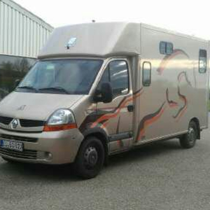 RP-Pferdetransporte