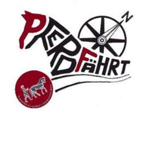 Reit-, Fahr- und Bodenarbeitstrainerin