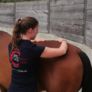 Chevalbelle - Training, Therapie, Thermografie