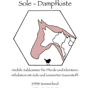Sole - Dampfkiste
