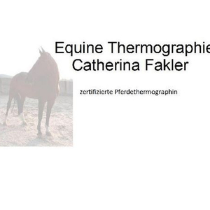 Equine Thermographie Catherina Fakler