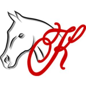 Kompetenz für Reiter und Pferd