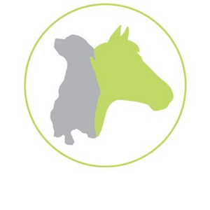 Tierisch gute Behandlung