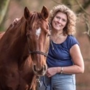 Pferdgerecht Andrea Wagner