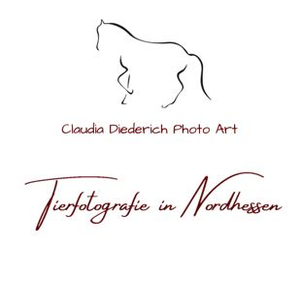 Claudia Diederich Photo Art