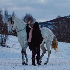 Equidemia - Celina Harich
