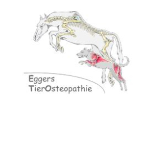Tierosteopathie Eggers - Pferdeosteopathie Pferdephysiotherapie Hundeosteopathie