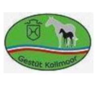 Gestüt Kollmoor