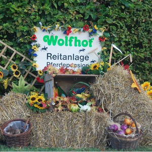 Reitstall Wolfhof