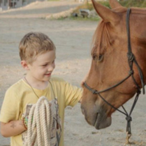 MM Horsemanship
