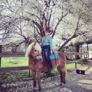 HorseHeartAssociation