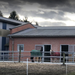Reitanlage unter den Eichen