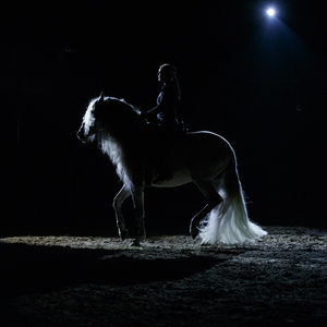 ShowReitSchule Rabea Schmale 