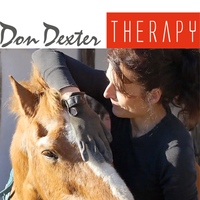 Don Dexter Therapy