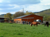 Struthof Capito