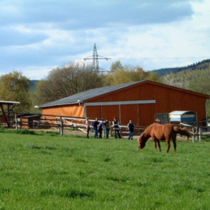 Struthof Capito