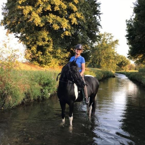 Tierphysiotherapie links vom Rhein