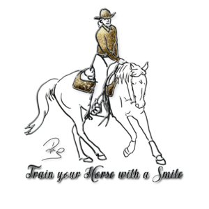 Westernreiten