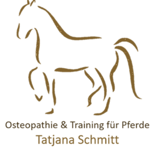 Osteopathie & Training für Pferde
