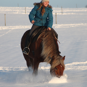 Katharina Theisinger 1 Stern Parelli Instruktorin 