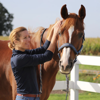 MK Equine Mobilization
